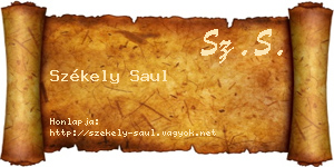 Székely Saul névjegykártya